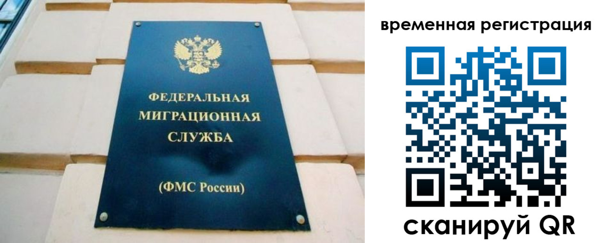 прописка гарантия в Завитинске